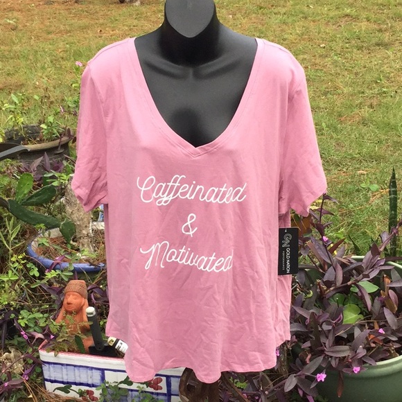 🌸NWT Awesome Size 2X V-Neck Activewear Tee Closet Must Have & So Fun To Wear 🌸 - Picture 2 of 7